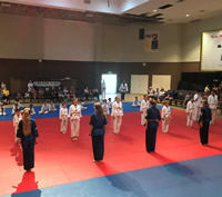 Black Belt Demo 