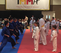 Black Belt Mentoring